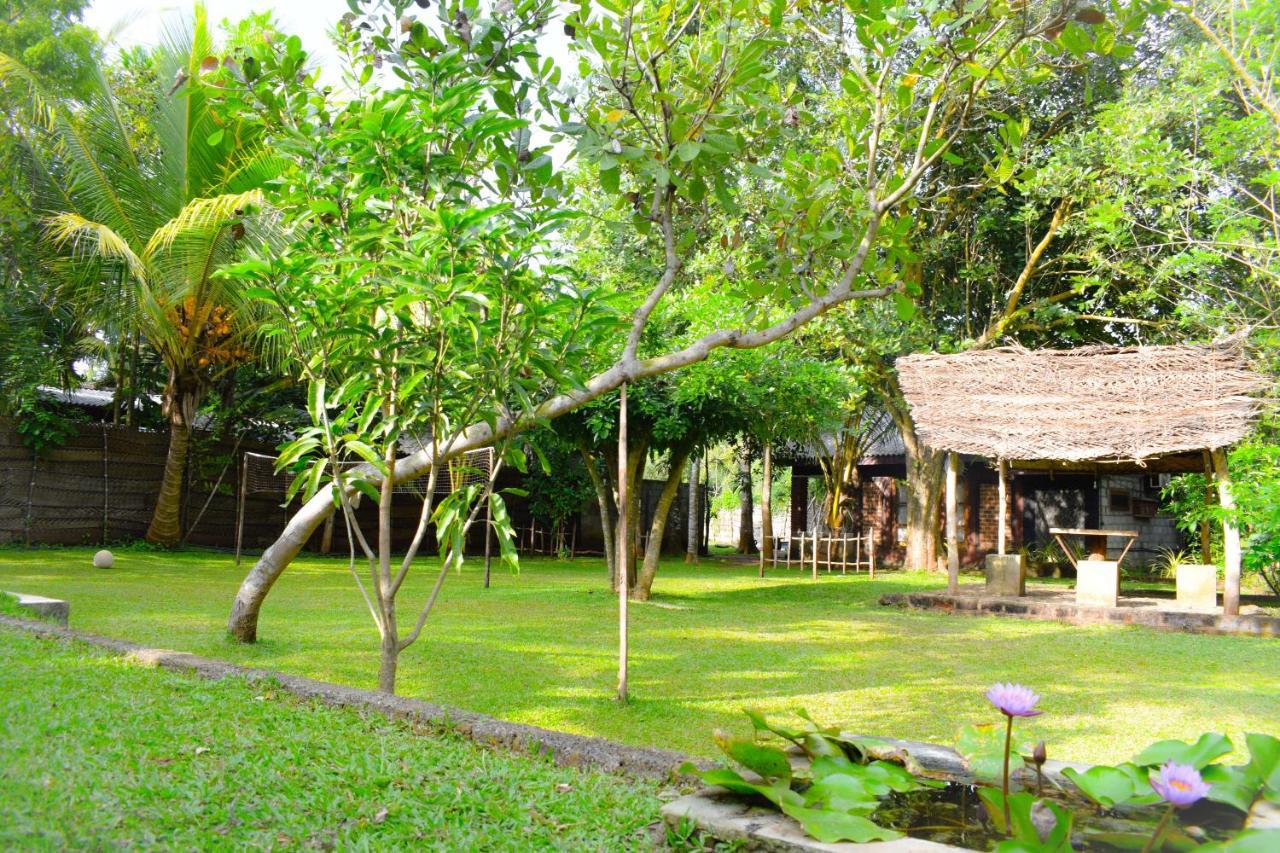 Green Cottage 阿努拉德普勒 外观 照片